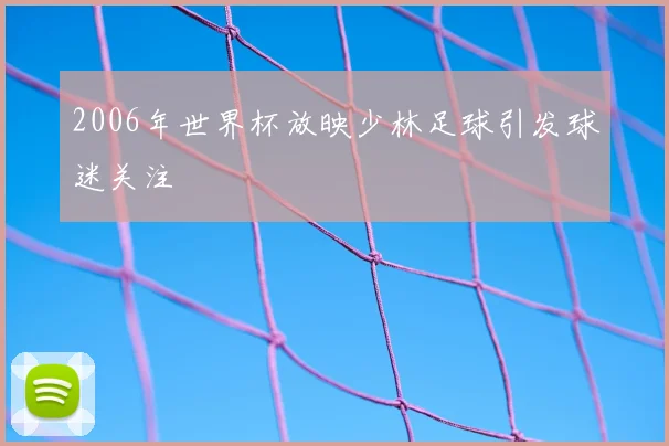 2006年世界杯放映少林足球引发球迷关注