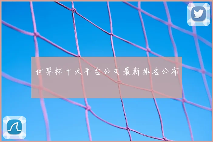 世界杯十大平台公司最新排名公布