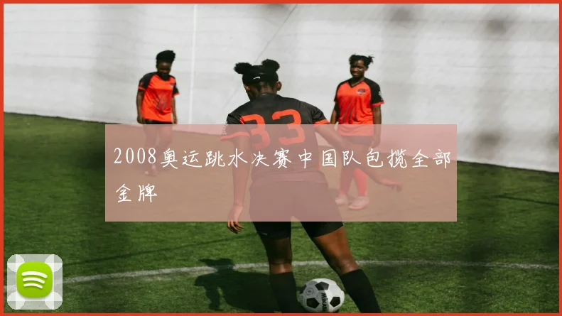 2008奥运跳水决赛中国队包揽全部金牌