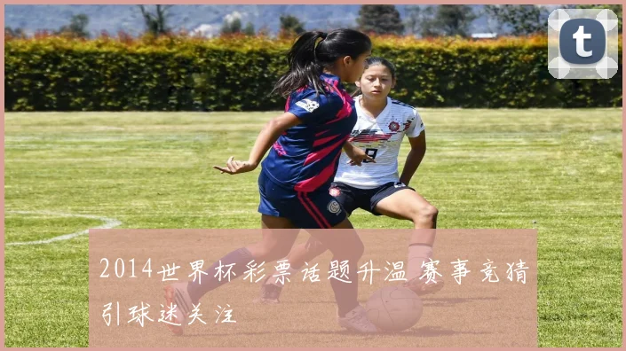 2014世界杯彩票话题升温 赛事竞猜引球迷关注
