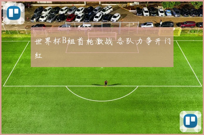 世界杯B组首轮激战 各队力争开门红