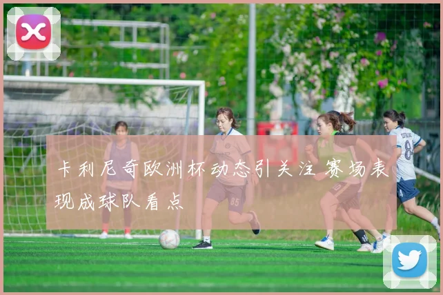 卡利尼奇欧洲杯动态引关注 赛场表现成球队看点