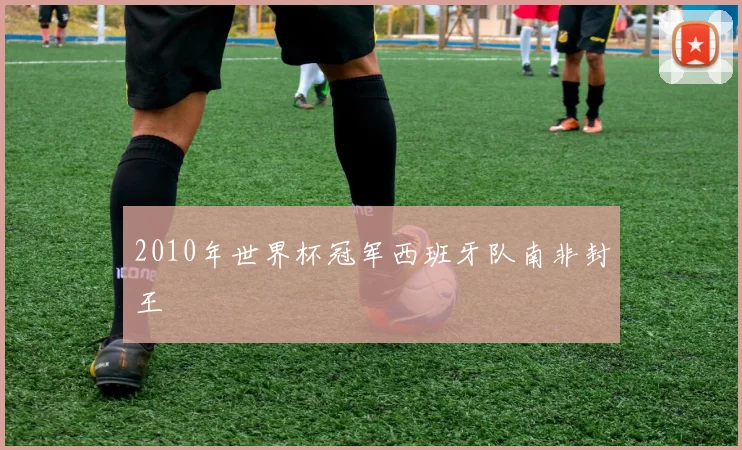 2010年世界杯冠军西班牙队南非封王