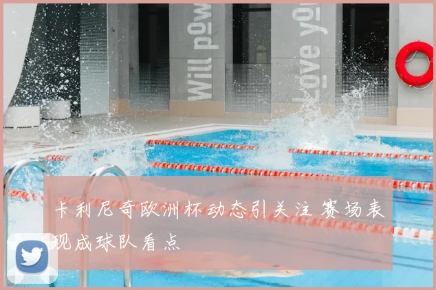 卡利尼奇欧洲杯动态引关注 赛场表现成球队看点