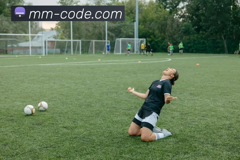 世界杯官方入口平台生态图